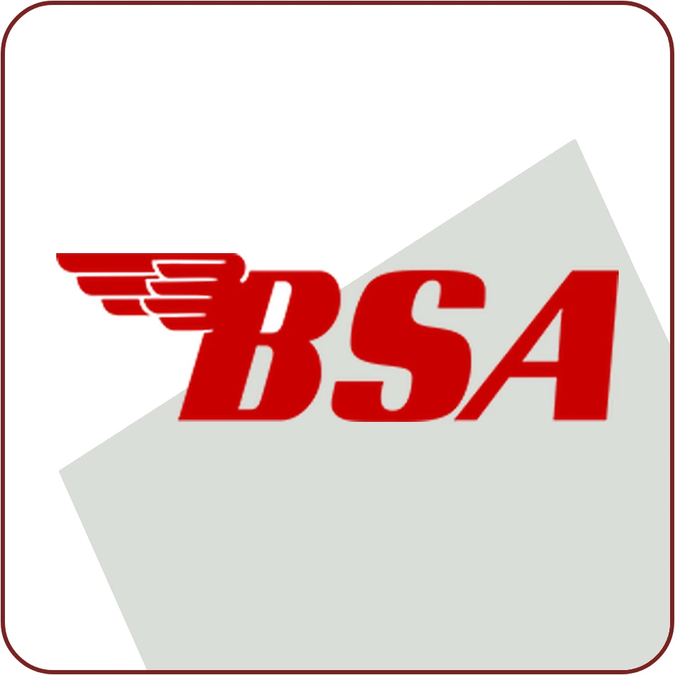 BSA ECU-flash