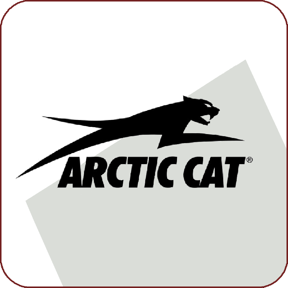 Arctic Cat ECU-flash