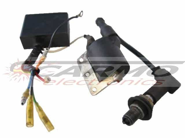 250MX (54631831000,343 S 00150) CDI ECU ignitor ignition unit