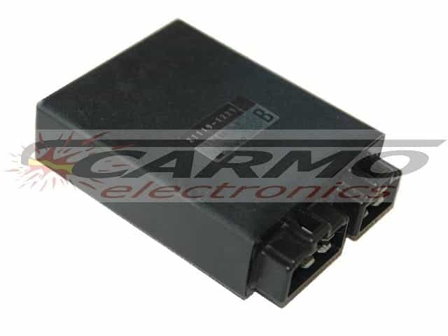 EL250 (21119-1229, 131800-5041) CDI TCI igniter module