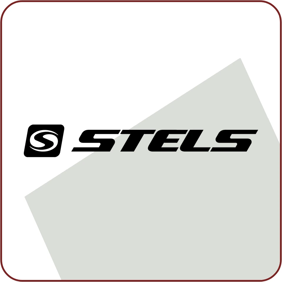 Stels ECU-flash